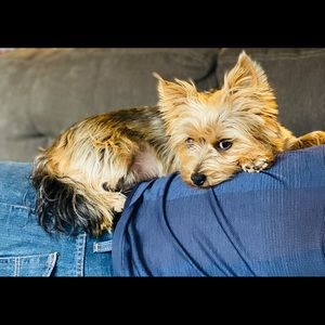 Meet your Posher, Marry jane